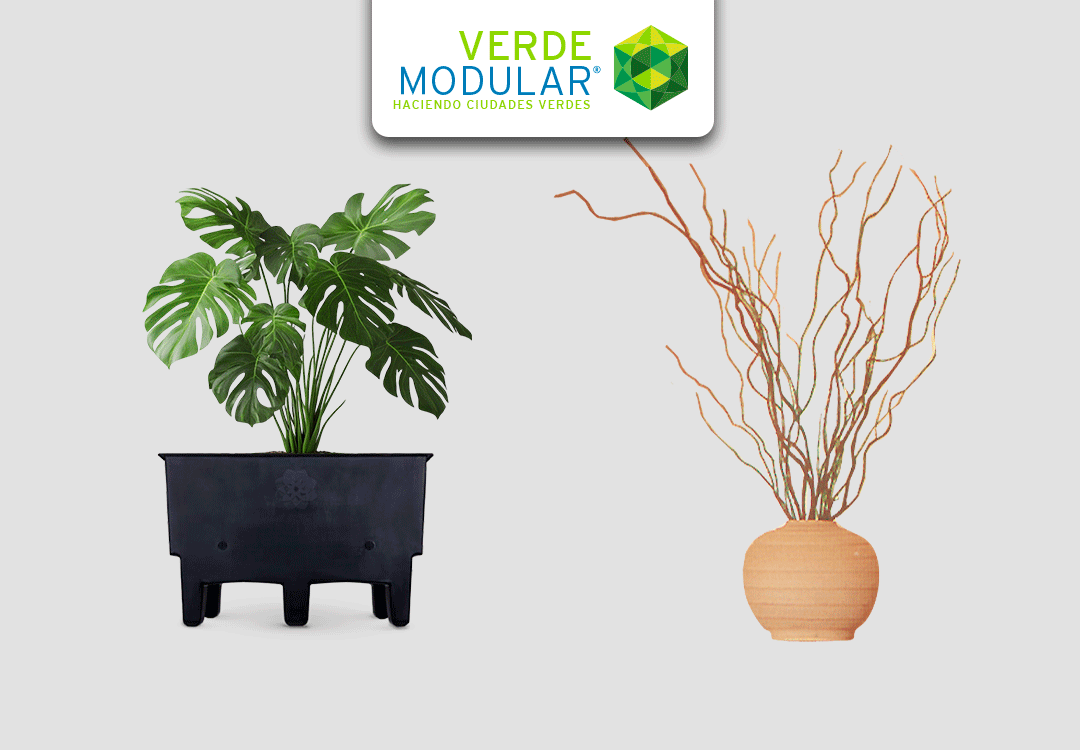 Lo intenté con plantas y fracasé… hasta que encontré la solución perfecta
