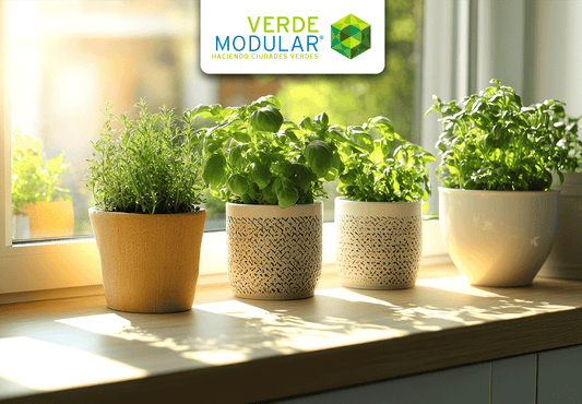 Hierbas, frutas y verduras en casa: cultiva lo que comes, ¡sin ser experto!