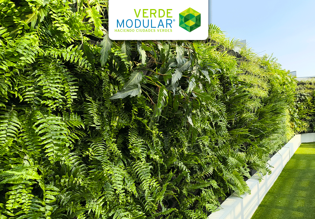 Sistema Verde Modular: el secreto detrás de los mejores huertos y muros verdes