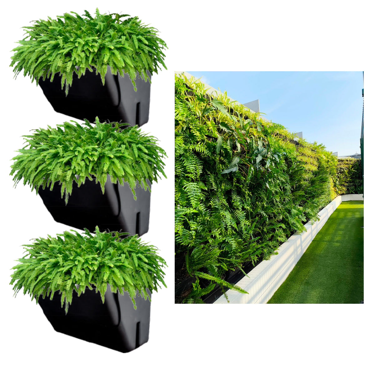 Eco Maceta Muro Kit de 3