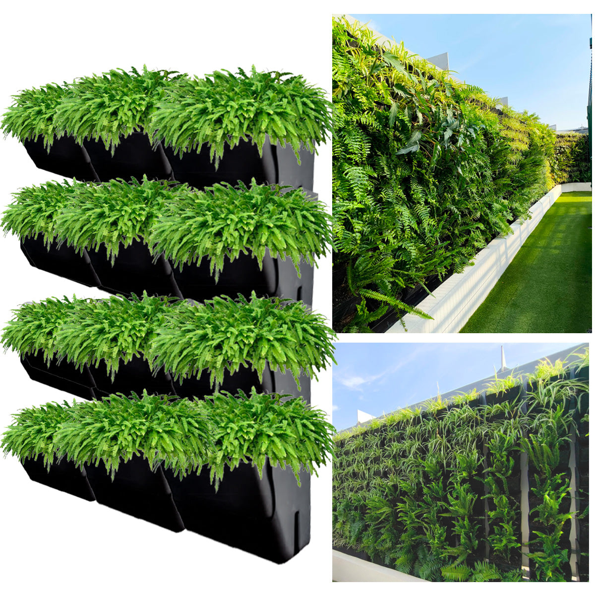 Eco Maceta Muro Kit de 12