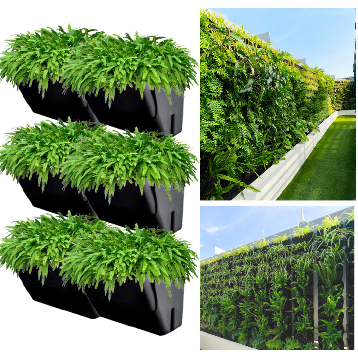 Eco Maceta Muro Kit de 6