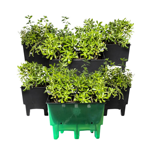Kit de 6 Ecomacetas de Piso - Negro y Maceta Indicadora