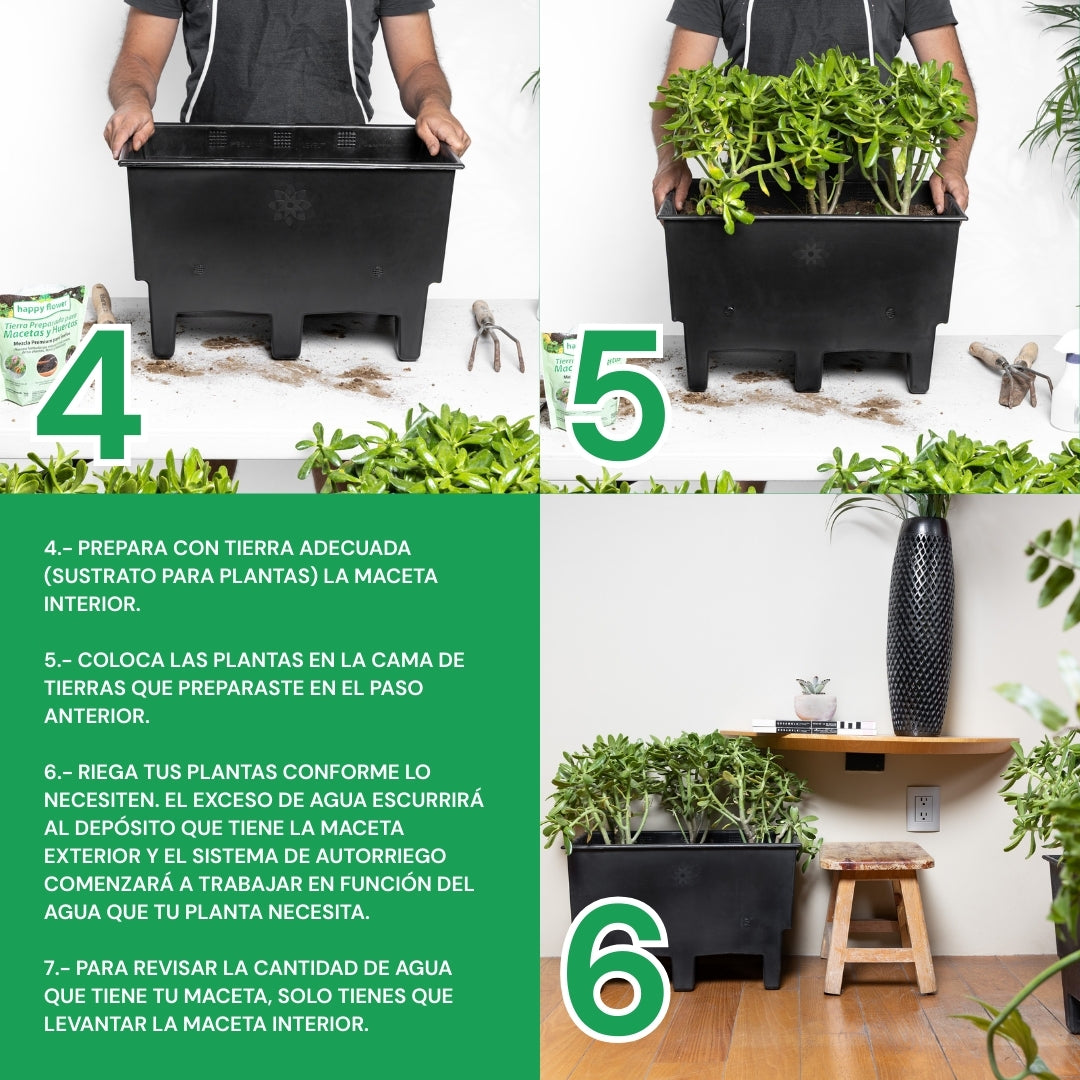 Kit de 6 Ecomacetas de Piso - Negro y Maceta Indicadora