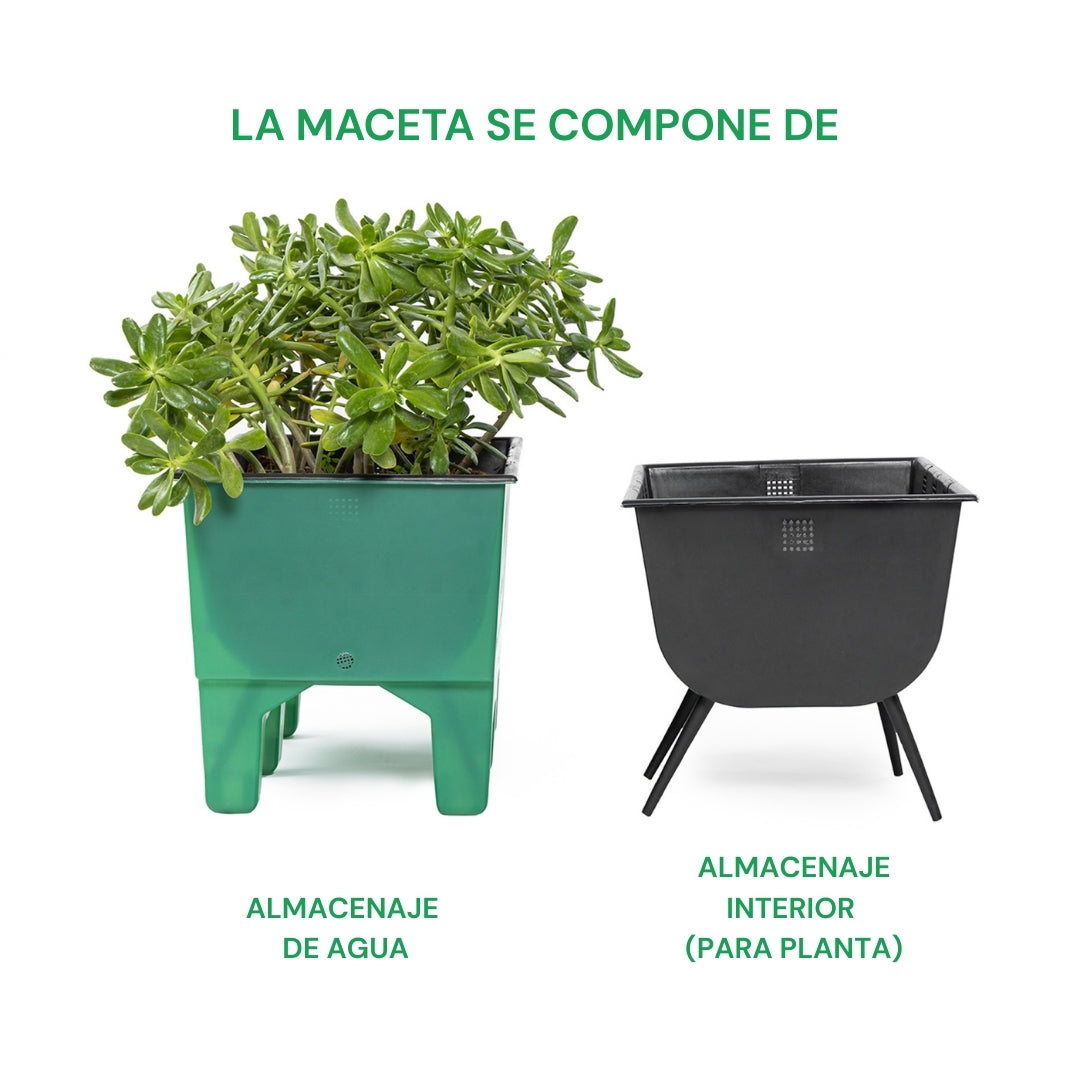 Ecomaceta kit 6