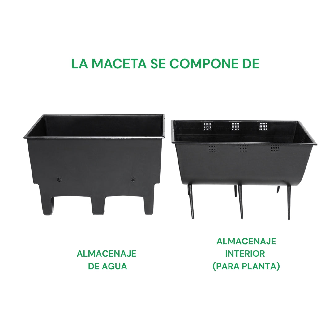 Ecomaceta de Piso para Azoteas Verdes, espacios Interiores y Oficinas