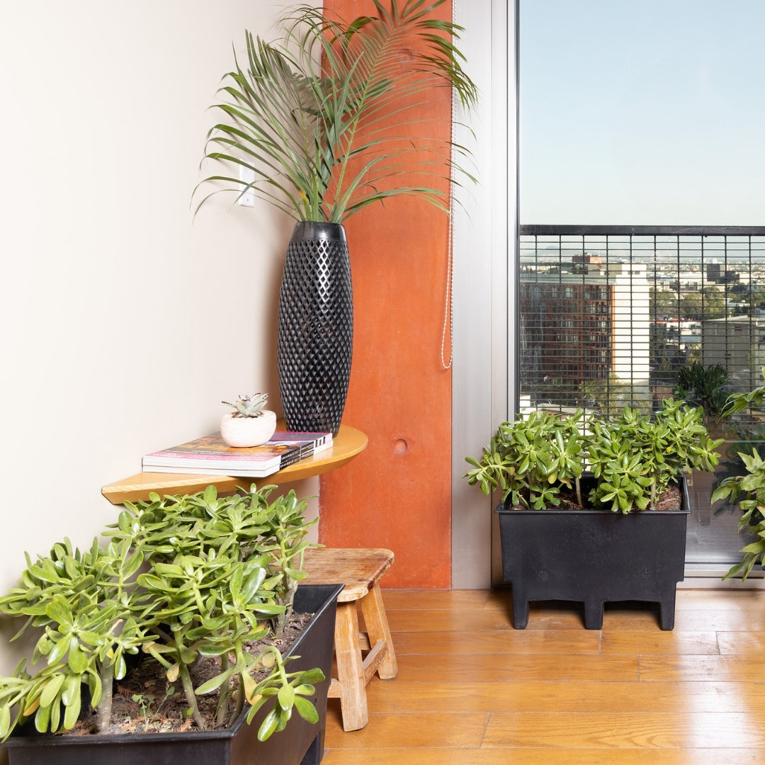 Ecomaceta de Piso para Azoteas Verdes, espacios Interiores y Oficinas