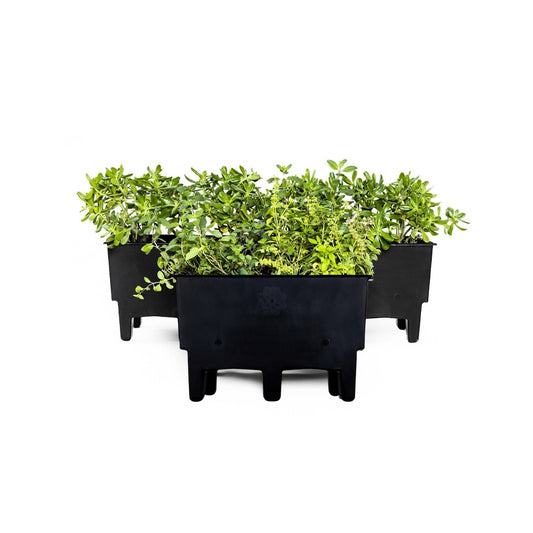 Kit de 3 Ecomacetas de Piso, equivalente a 0.5m2
