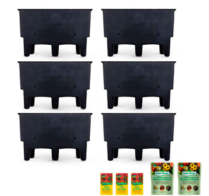 Ecomaceta kit 6