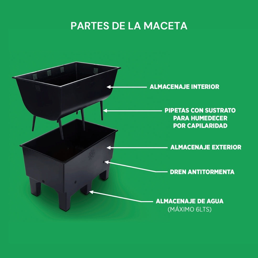 Ecomaceta kit 6