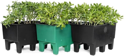 Kit 3 Ecomacetas Piso (2+1)