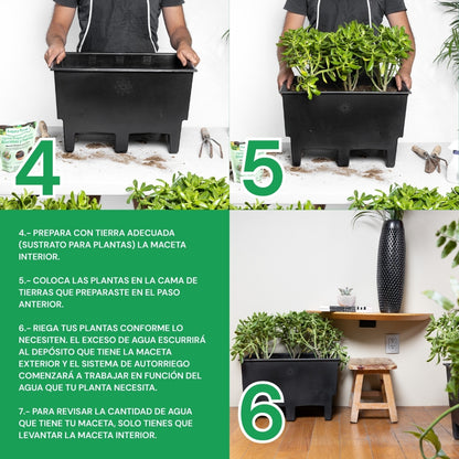 Ecomaceta kit 6