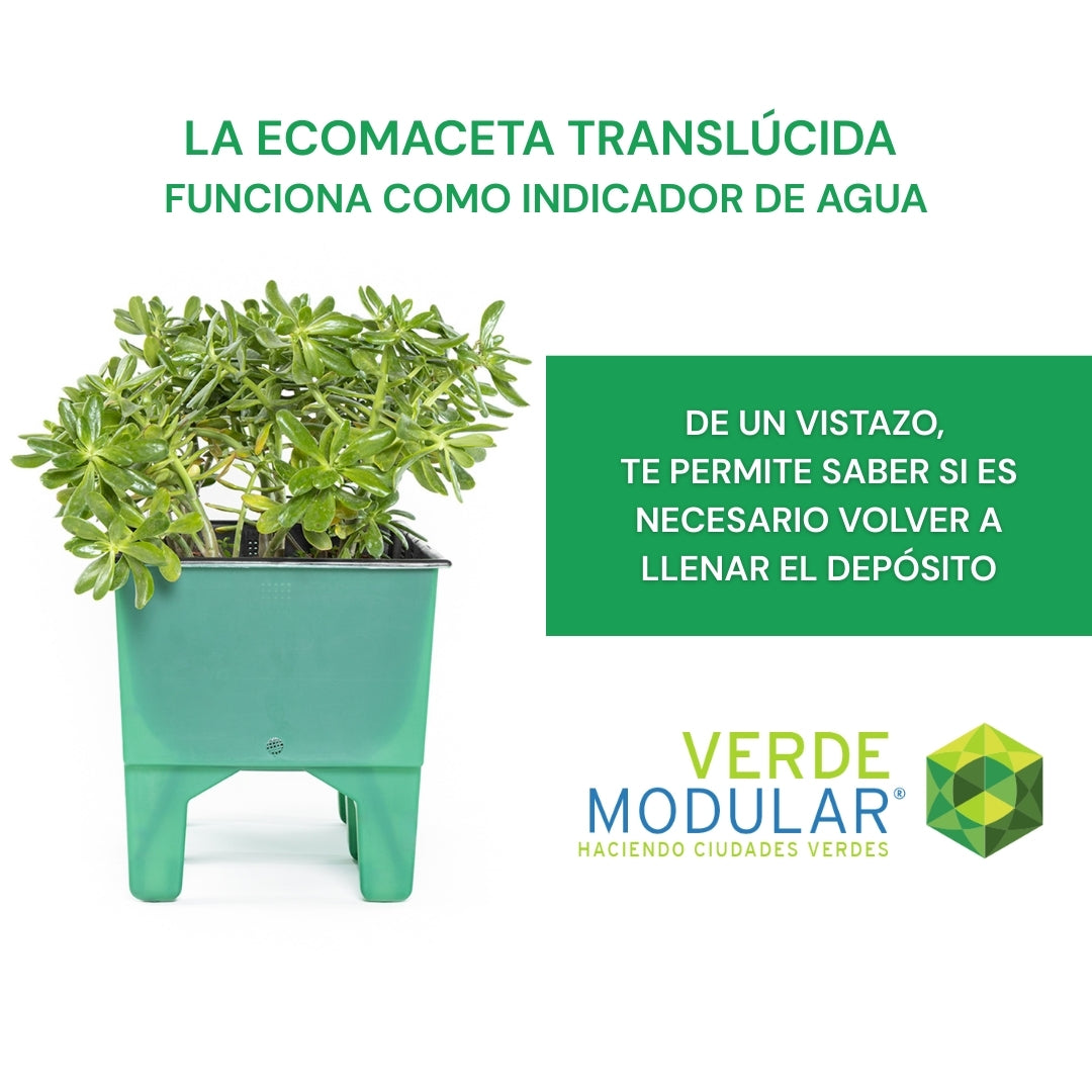 6 Ecomacetas Piso con Indicador, Autorriego, Azoteas Verdes Y Huertos.