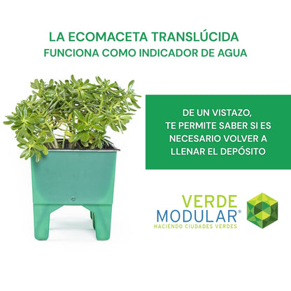 6 Ecomacetas Piso con Indicador, Autorriego, Azoteas Verdes Y Huertos.