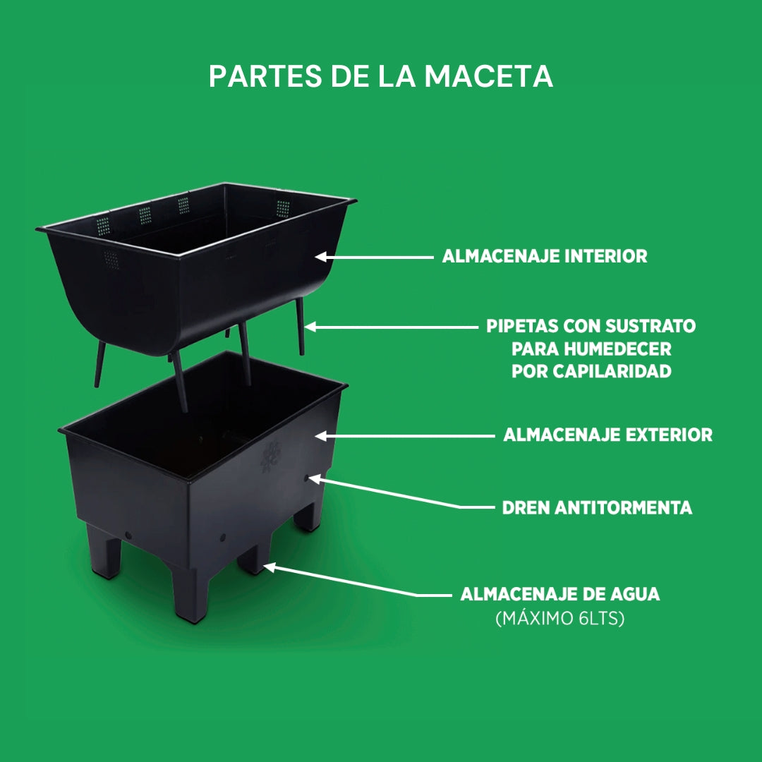 Ecomaceta de Piso para Azoteas Verdes, espacios Interiores y Oficinas