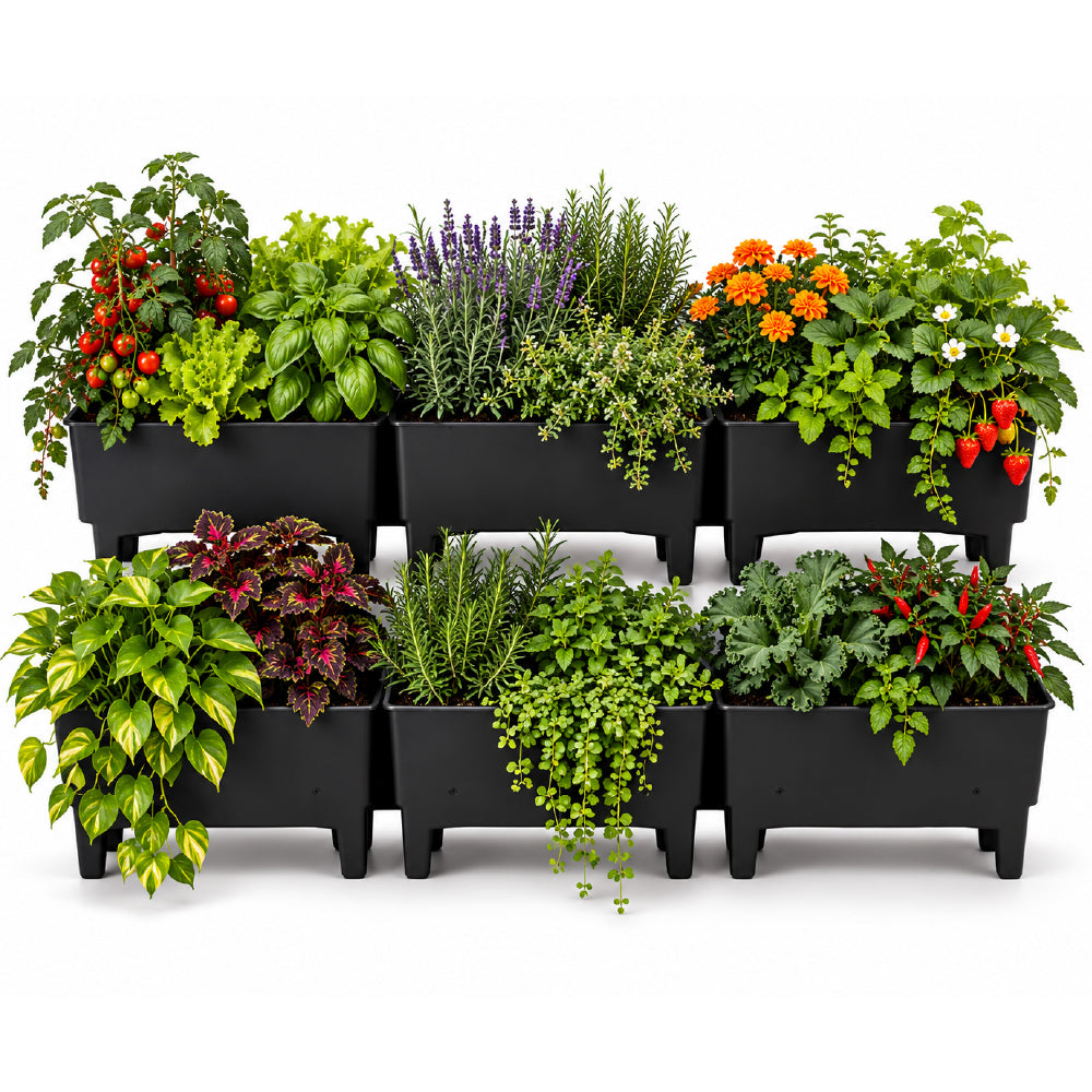 Kit de 6 Ecomacetas de Piso, equivalente a 1 m2