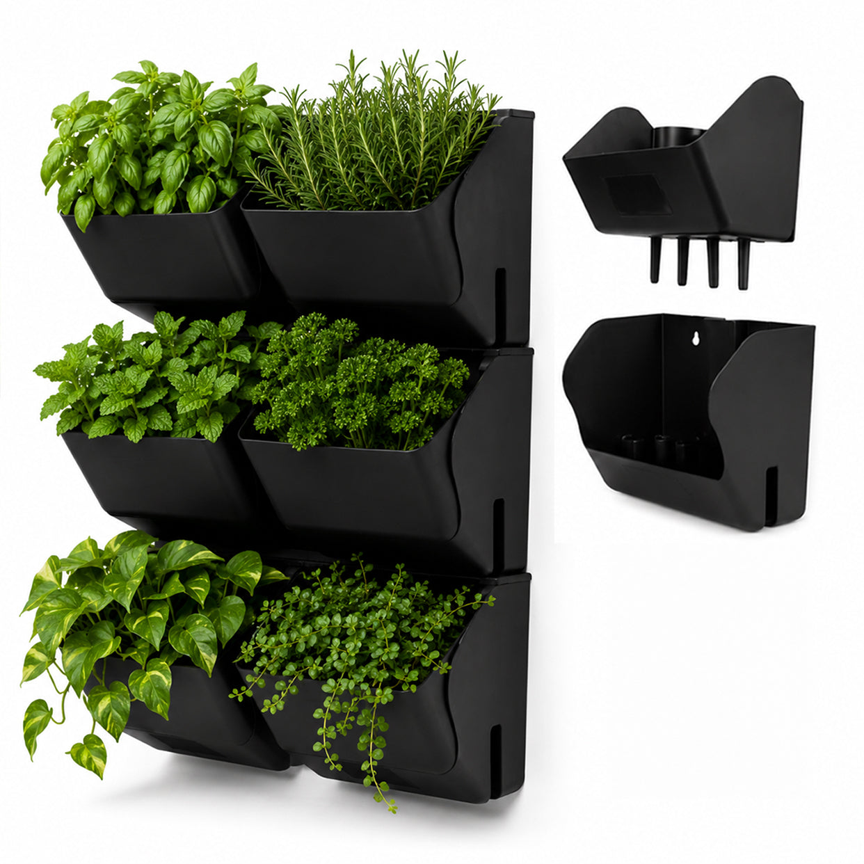 Kit de 6 Ecomacetas de Muro, equivalente a 0.5m2